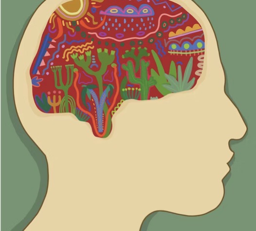 ADHD and LGBTQ+: Understanding Neurodivergence in the Queer Community